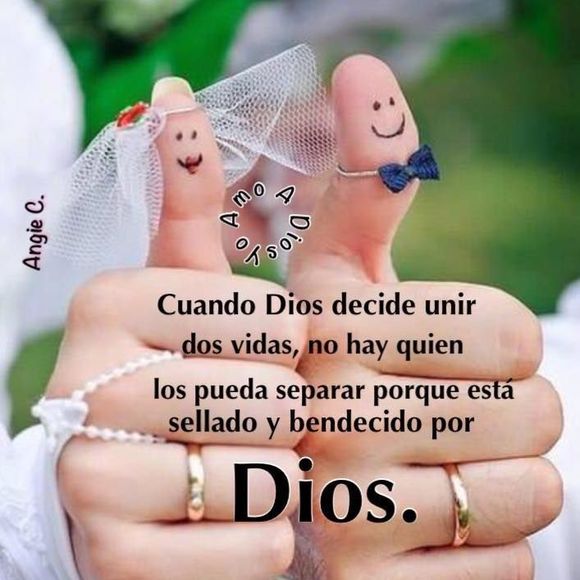 Meet your Posher, Minnie - Picture 1 of 1